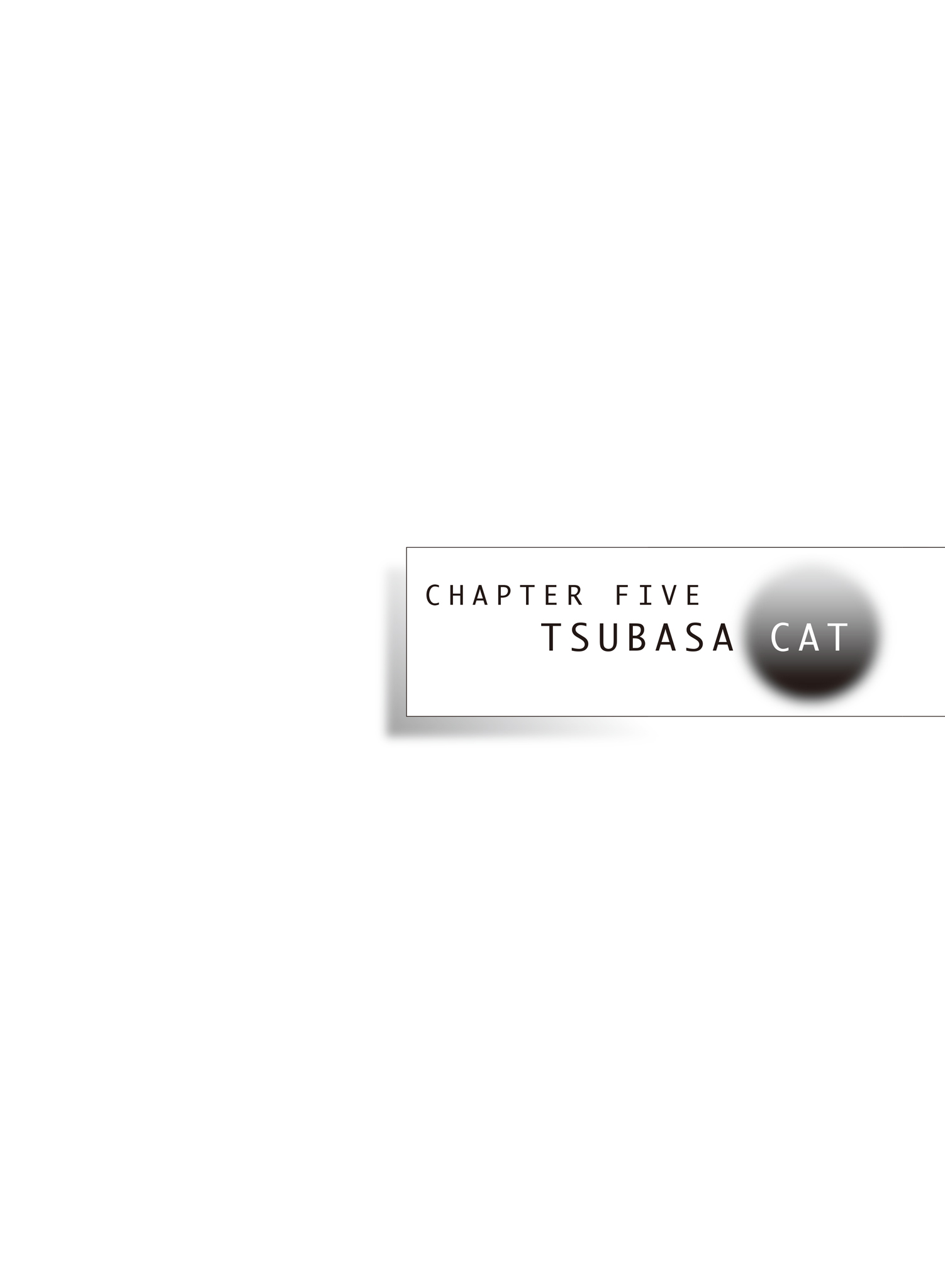 Chapter FIVE　TSUBASA CAT