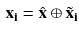 $$\begin{aligned} \mathbf {{x_i}}={\hat{\mathbf {x}}} \oplus {\tilde{\mathbf {x}}}_{\mathbf {i}} \end{aligned}$$