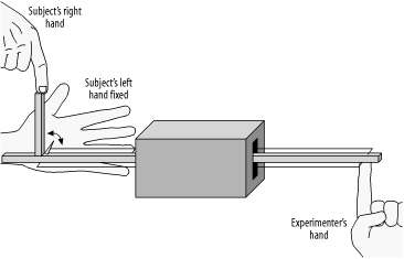 Tickling machine: this device was used to apply a soft piece of foam to the participant’s left palm