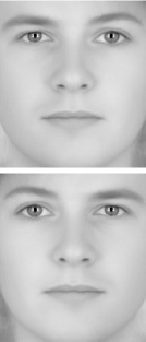 Both faces are equally male and female, but on different sides; your right brain dominates the perception of gender in faces, so you see one as more male and the other as more female 5