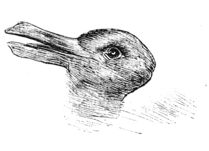 You can see this picture as a duck or a rabbit, but if you’d seen only one interpretation at the time, could you see the other interpretation in your mind’s eye? 7