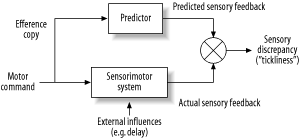 Forward model: an internal predictor uses information about movements to distinguish between self-produced and externally produced sensations