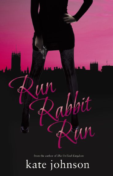 Front cover of Run Rabbit Run