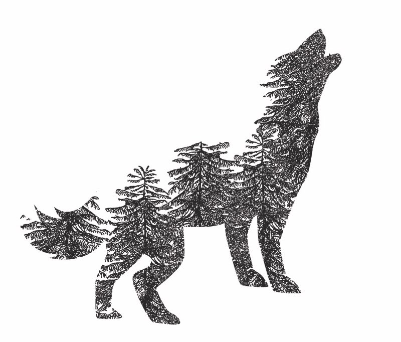 Wolf image in the trees