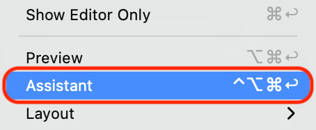 Figure 10.14 – Adjust Editor Options menu with Assistant selected
