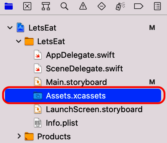 Figure 9.37 – Project navigator showing the file to be removed
