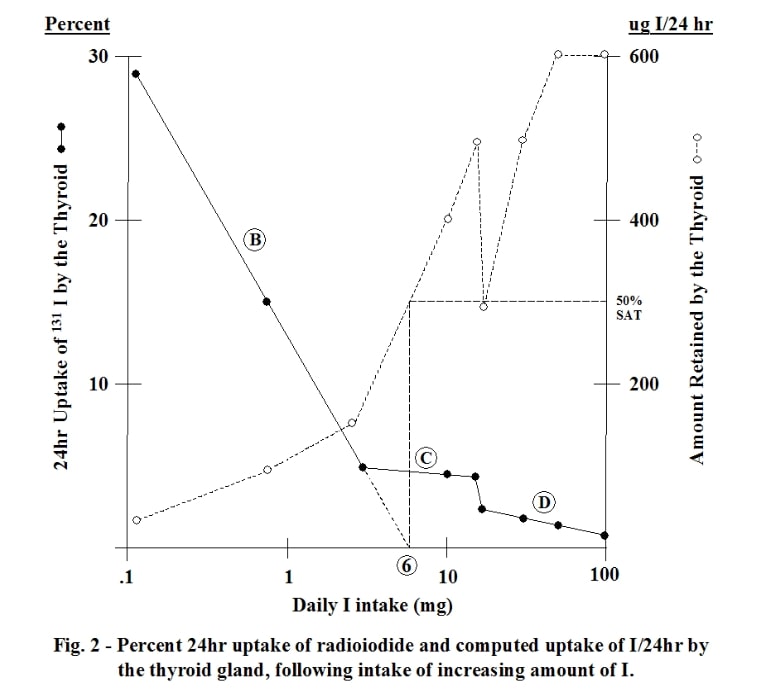 Uptake of radioiodine/24h (percent) and computed uptake of iodine/24h by thyroid gland.