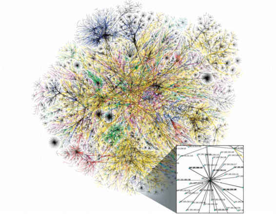 La topografia di internet è molto simile a quella di un apparato radicale, perché risponde alle stesse esigenze: un sistema distribuito e senza alcun centro di comando.