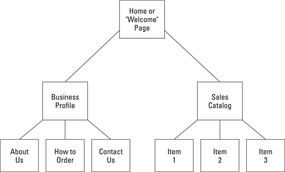 Illustration of a home page branching into two sections - business profile and sales catalog - a three-layered organization for their websites.