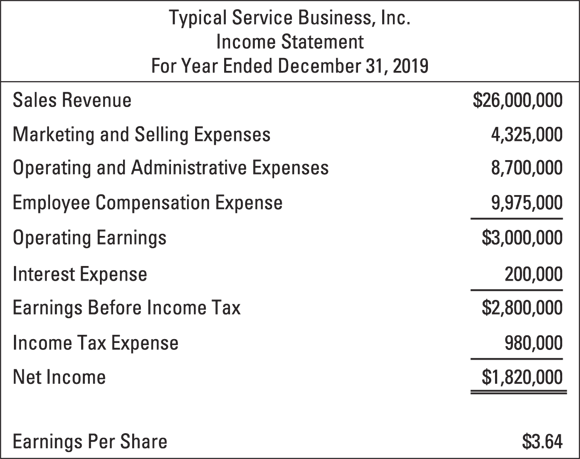 Illustration of a typical income statement for a service-oriented business disclosing three broad types of expenses.