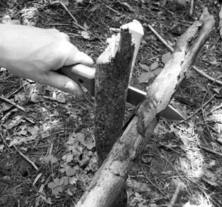 Using Survival Knife to Split Wood (Batoning)