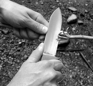 Stabilizing Knife With Thumb While Carving