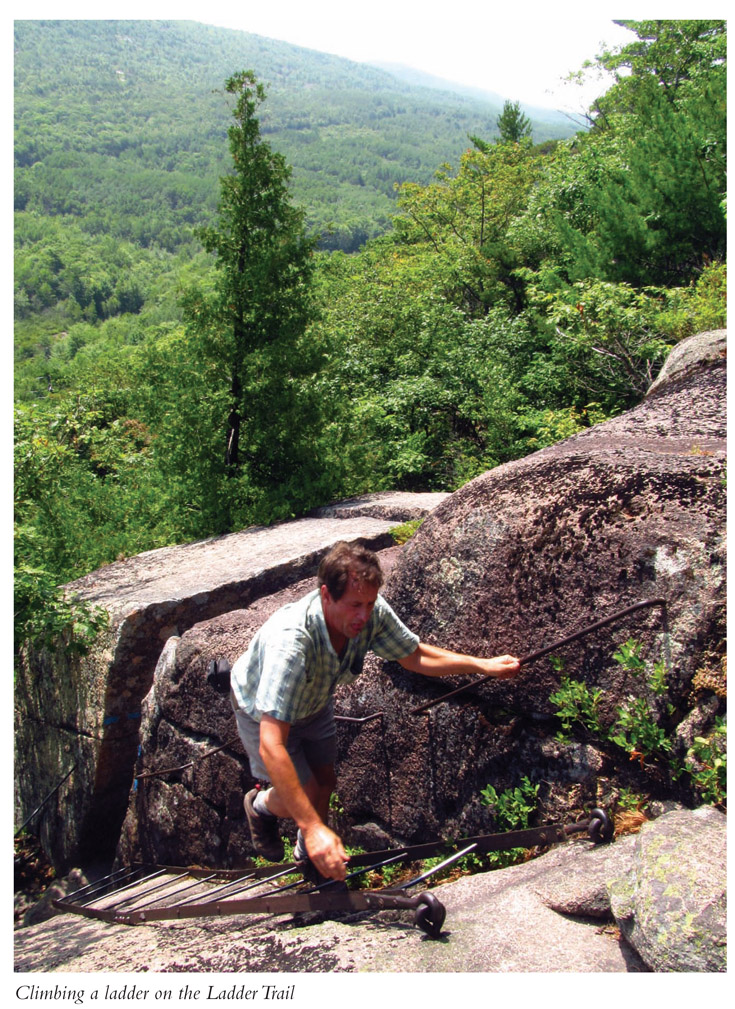 Climbing a ladder on the Ladder Trail