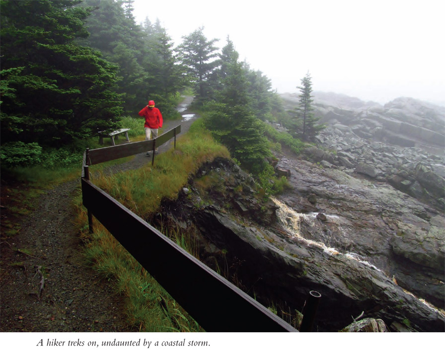 A hiker treks on, undaunted by a coastal storm.