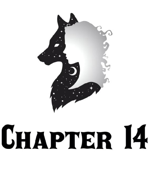 Chapter 14