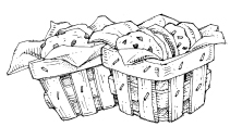 cc_pg097.tif