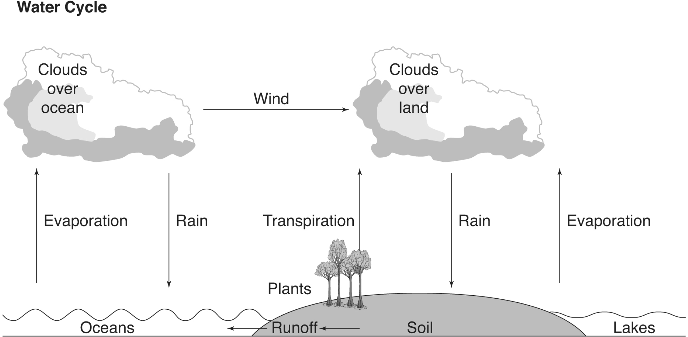 Water Cycle