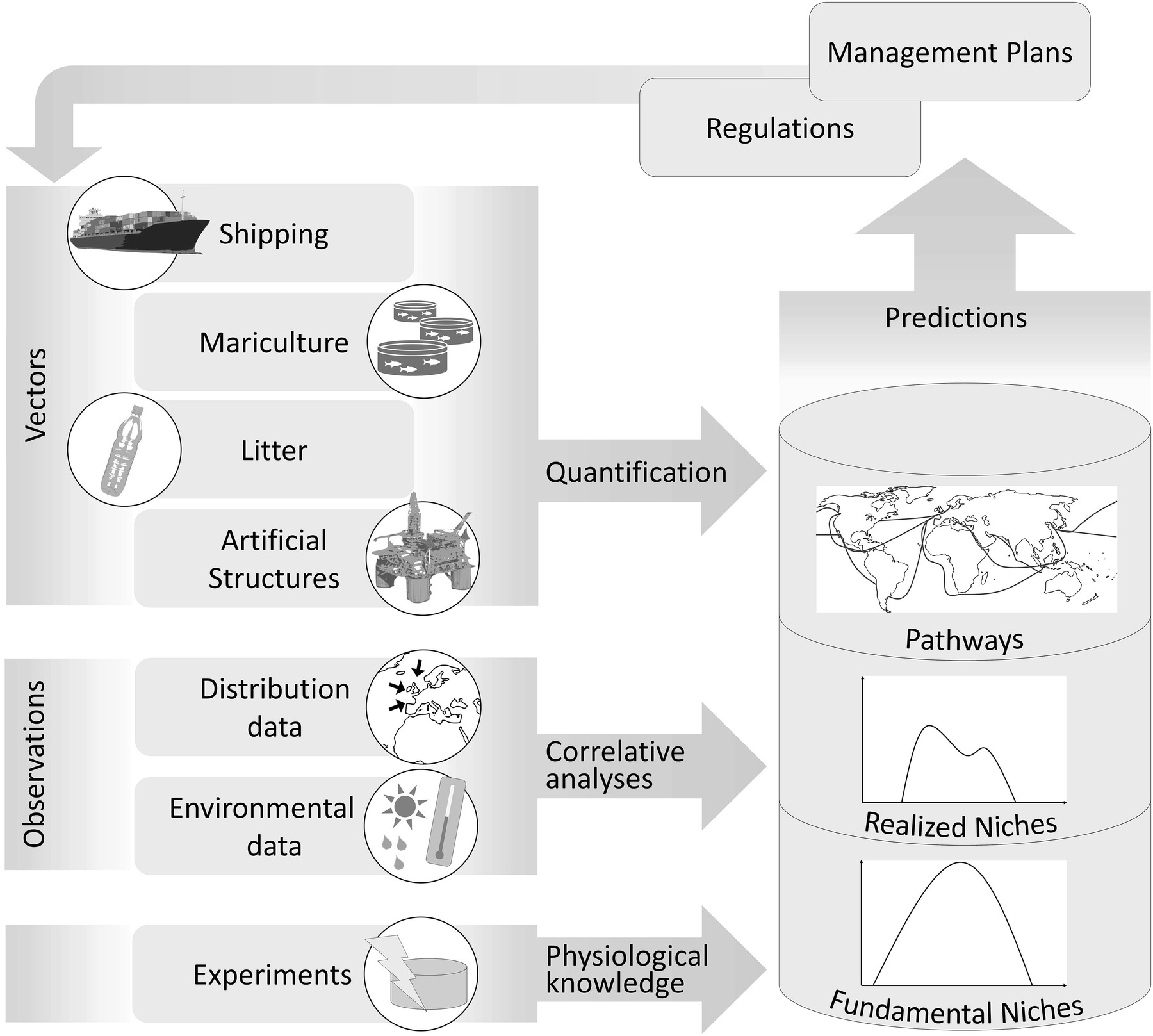 ../images/474076_1_En_10_Chapter/474076_1_En_10_Fig1_HTML.png