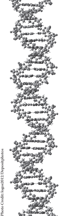 Picture of a DNA molecule that determines our emotional tendencies.