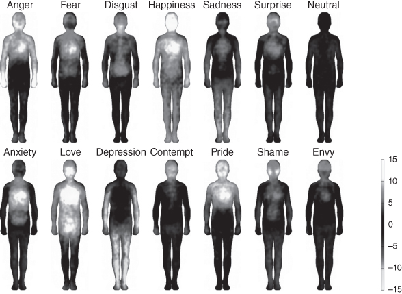 Images depicting the body maps of emotion-specific sensations where participants report increased physical sensation for different kinds of emotions.