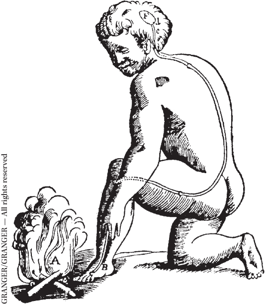 Diagram of a human sketch depicting how the soul can open valves to let vital fluids from the reservoir in the brain (labeled F) into the tubes to work the muscles and produce actions.