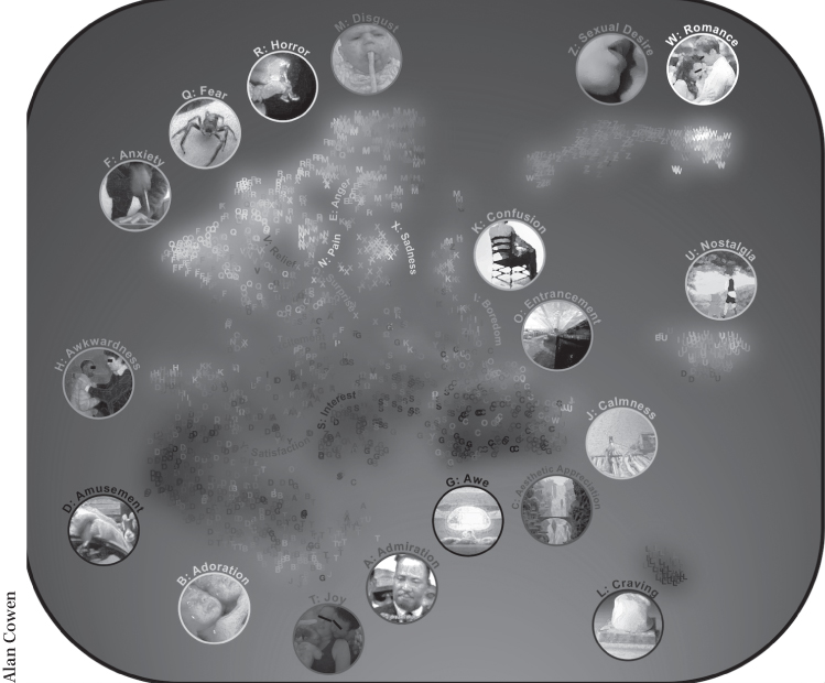 Image depicting the spatial arrangement of different emotional experiences triggered by different video clips.