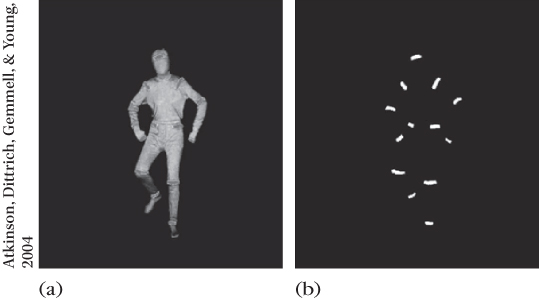 Images of the still photos of (left) full light expression and (right) matching point-light expression of anger.