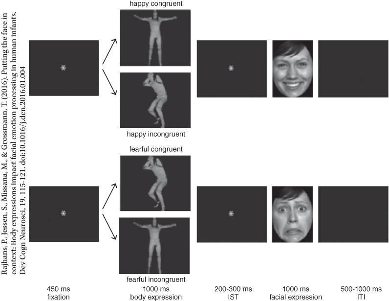 Images depicting the examples of various stimuli and the design of the priming paradigm used in a study.