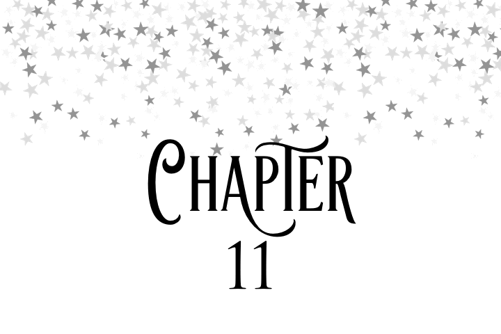 Chapter 11