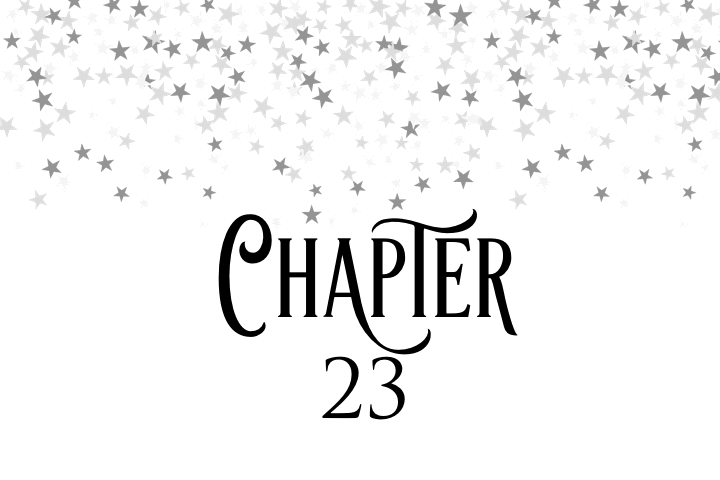 Chapter 23