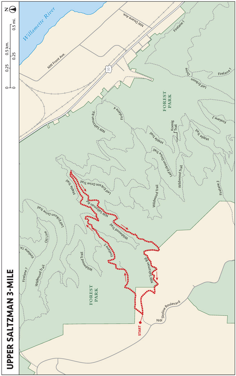 UPPER SALTZMAN 3-MILE