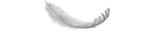 feather_bar