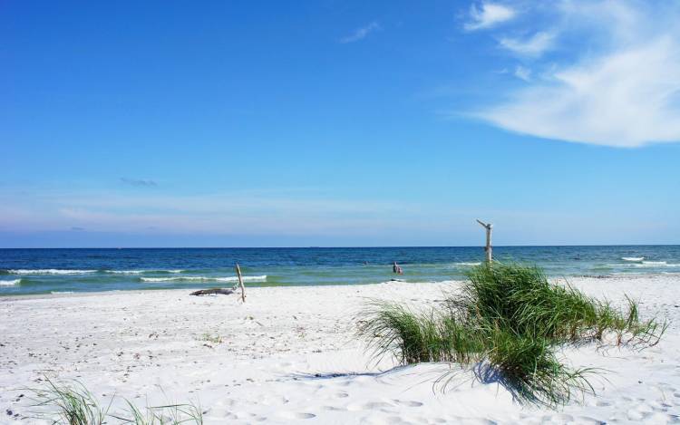 Dueodde Beach / Bornholm / Denmark // World Beach Guide