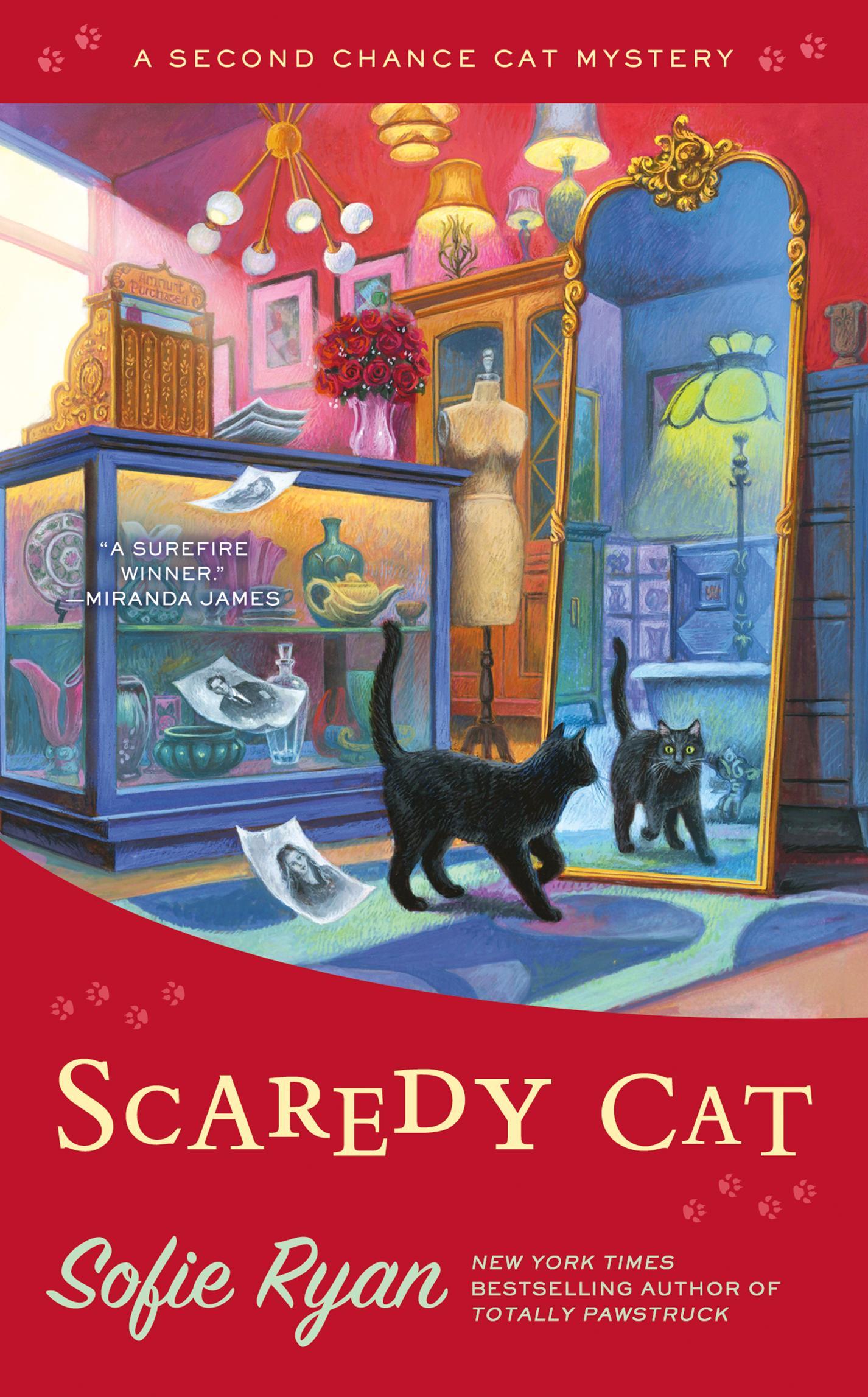 Cover for Scaredy Cat, Author, Sofie Ryan