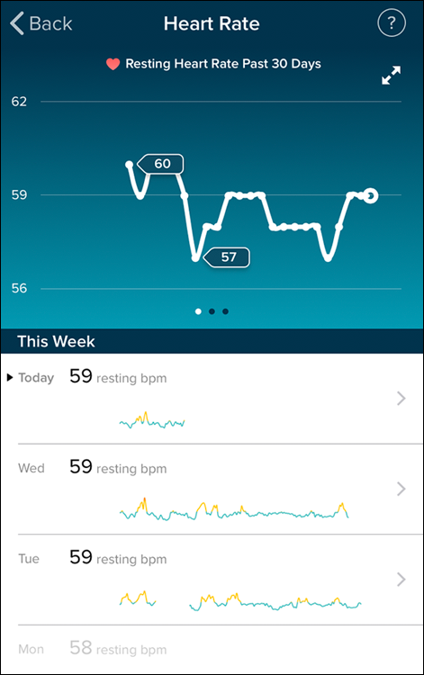 Screenshot of the Heart Rate screen displaying a graph and the data on using a Fitbit to monitor the heart rate of the user.