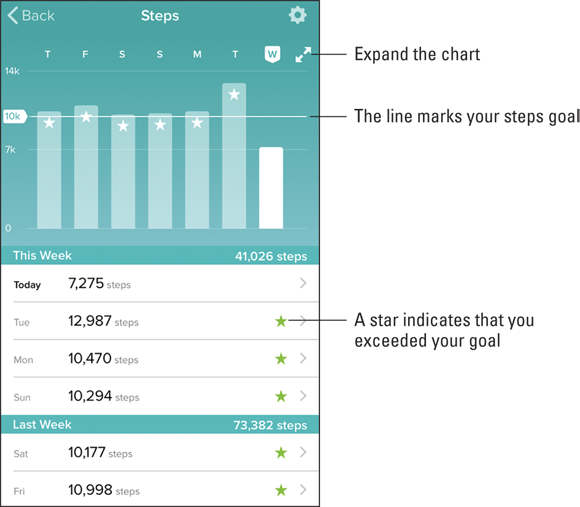 Screenshot of the Steps screen displaying the bar graph and historical steps data, with a star indicating that the user has exceeded the goal.