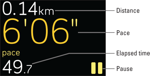 Screenshot of the Ionic screen displaying various metrics such as distance, pace, elapsed time, pause during the exercise.