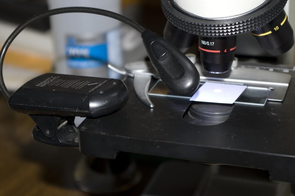 Using a book light to illuminate an opaque specimen