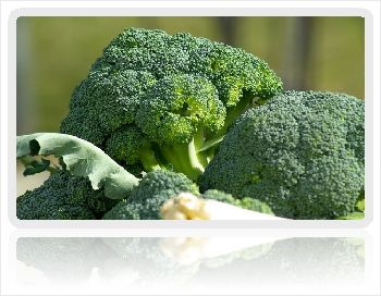 C:\Users\ADMIN\Desktop\A - MY PLR - PROD SITE\PLR PACKS IN PRGRS\A-VEGETARIAN\eBook\Images\vegetables-673181_1280.jpg