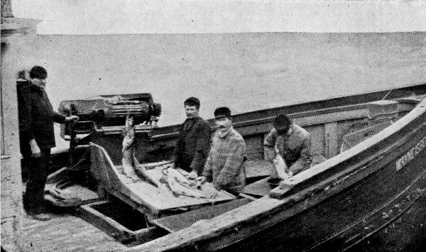 Winter on the Great Lakes, Stripping Lake-Trout.