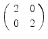 
$$\left (\begin{array}{cc} 2\quad 0\\ 0\quad 2\end{array} \right )$$
