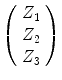 
$$\left (\begin{array}{c} Z_{1} \\ Z_{2} \\ Z_{3}\end{array} \right )$$
