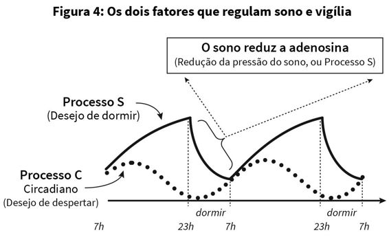 pag44