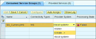 Editing the Service Group and Choosing to Create a New Provider System