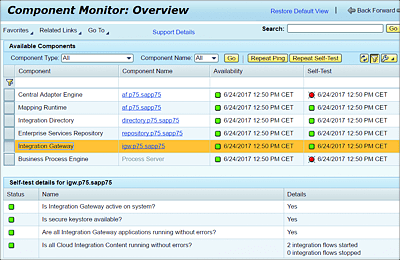 Monitoring the Availability of the Integration Gateway