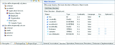 Default Structure of a Newly Created Business Object and Its Fields