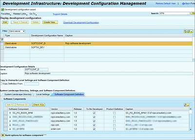 Development Infrastructure: Development Configuration