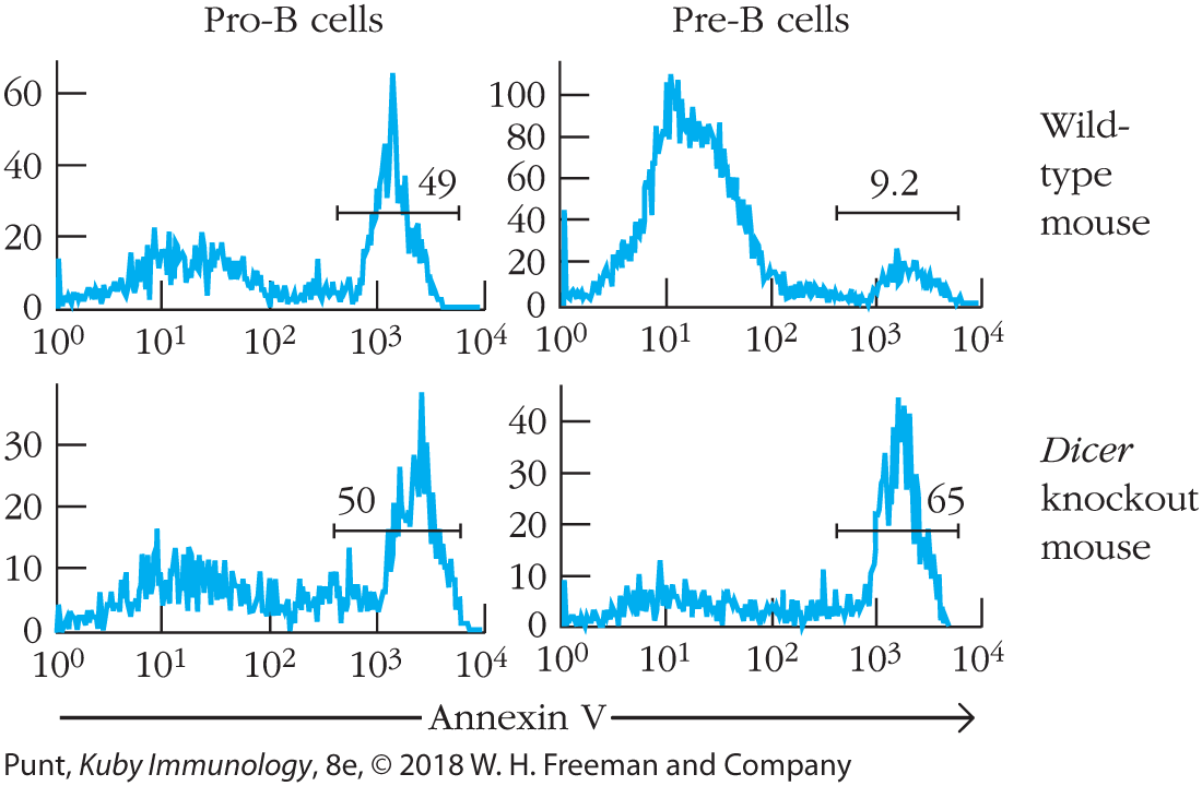 Four histograms show the Pro-B and Pre-B cells staining with Annexin V.