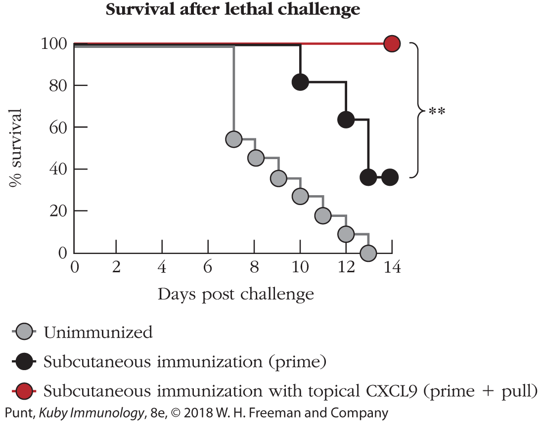 A graph plots the percentage of survival after lethal challenge against the number of days post challenge.