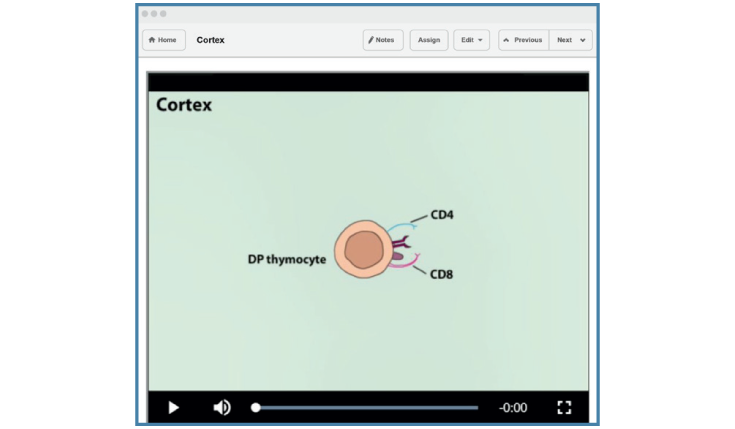 A screen grab shows a still from an animation video in a chapter in LaunchPad for Kuby Immunology.